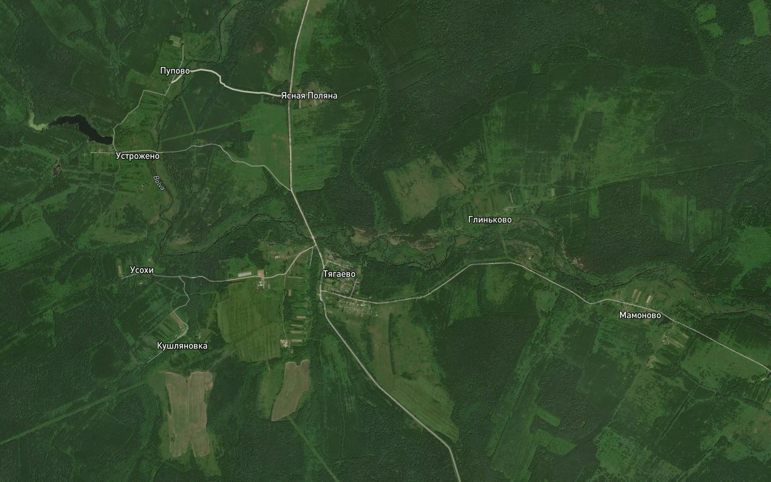 Sin'govka