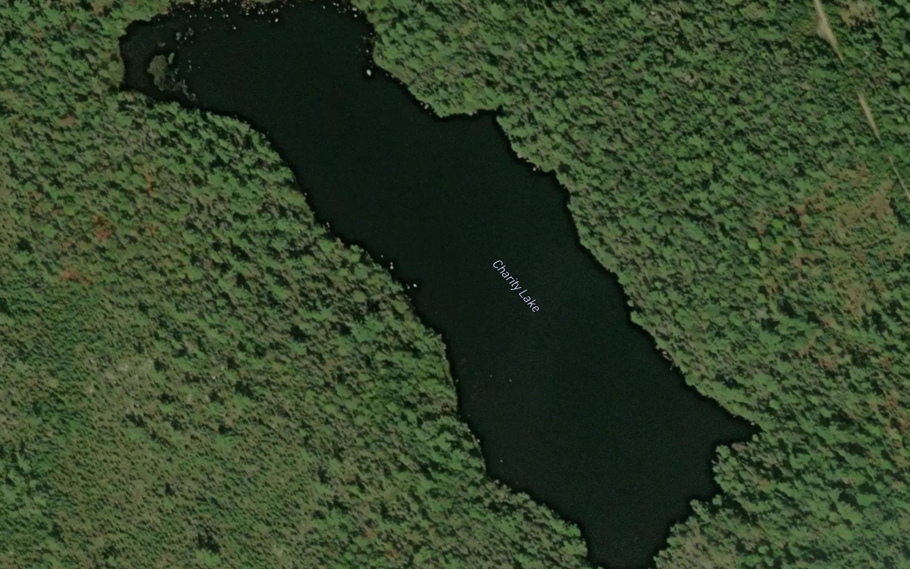 Satellite map of the Charity Lake