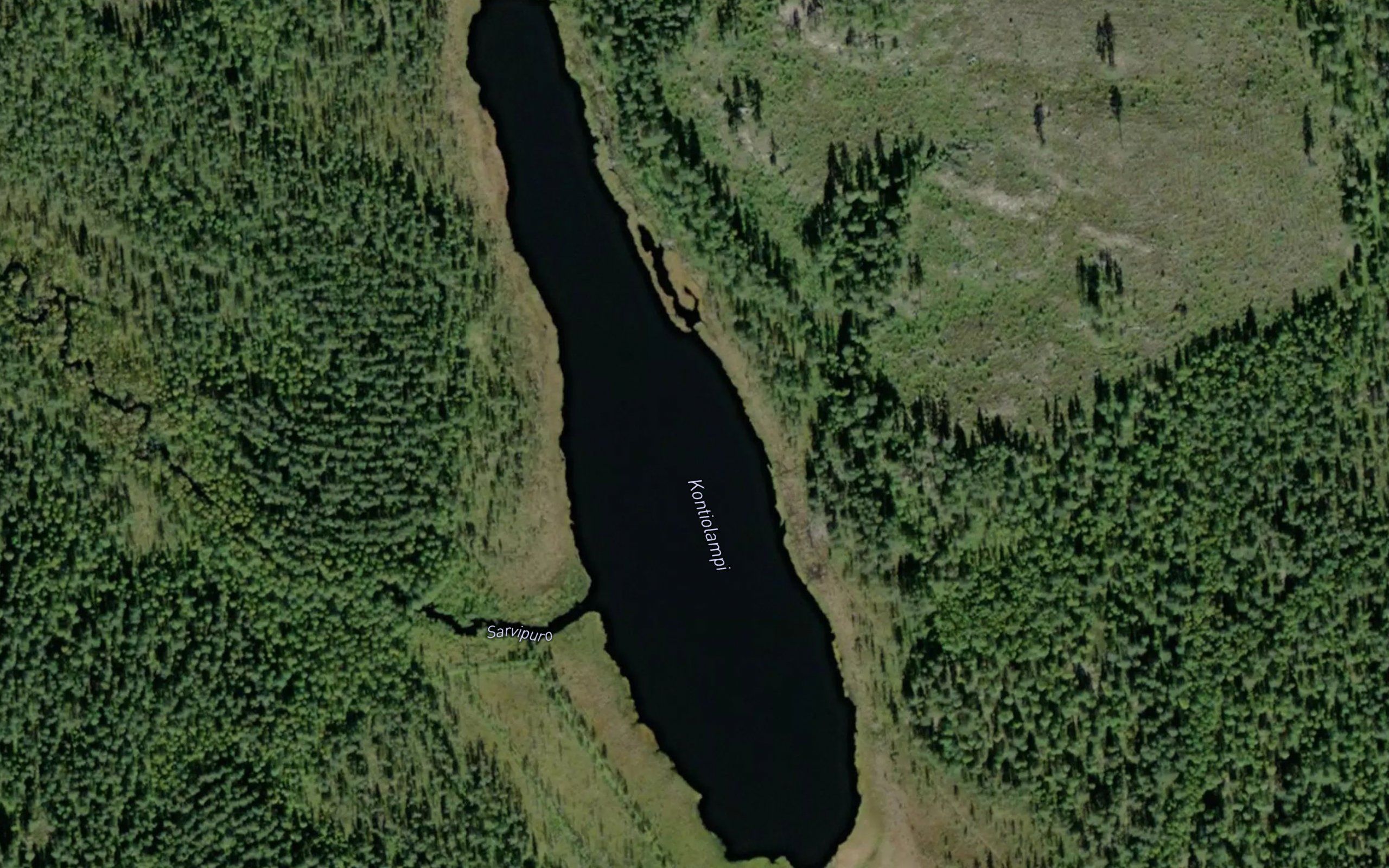 Kontiolampi