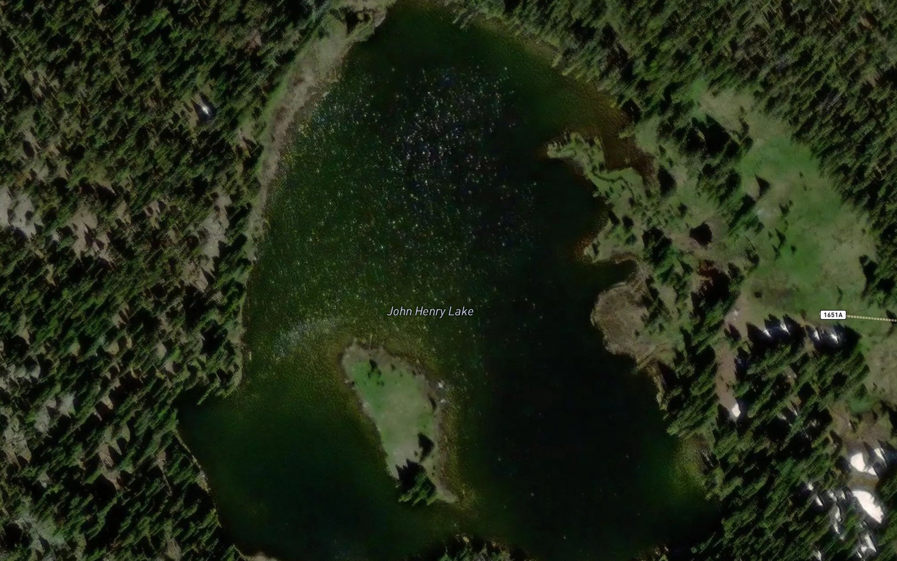 Satellite map of the John Henry Lake