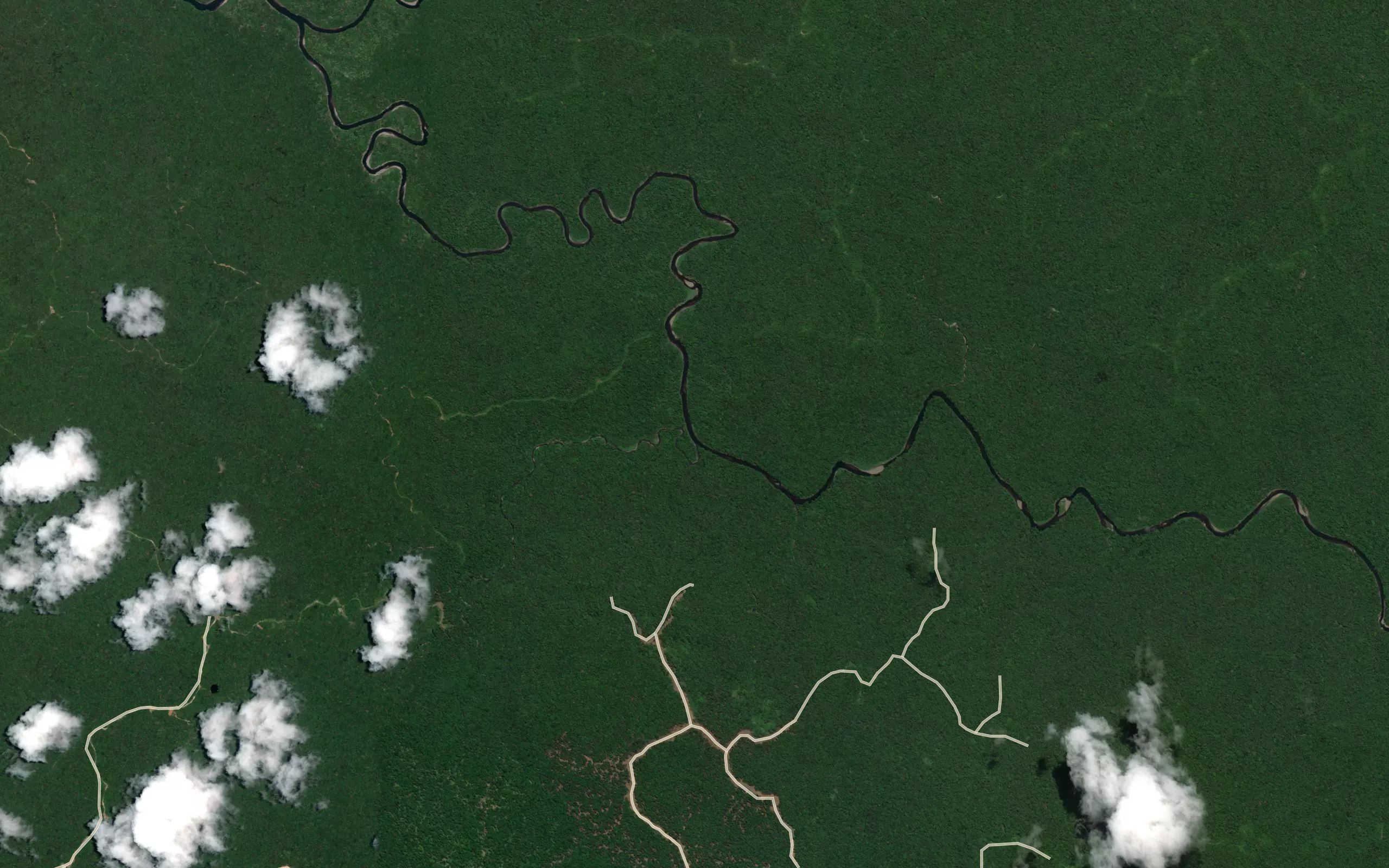 Tutae Creek
