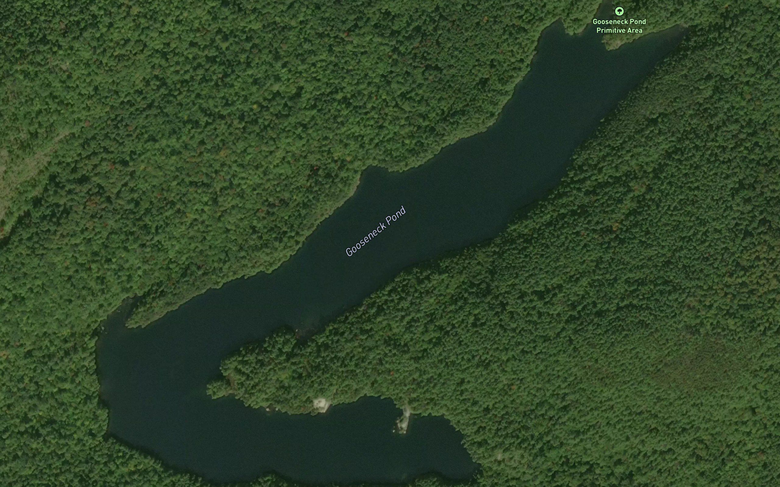 Gooseneck Pond