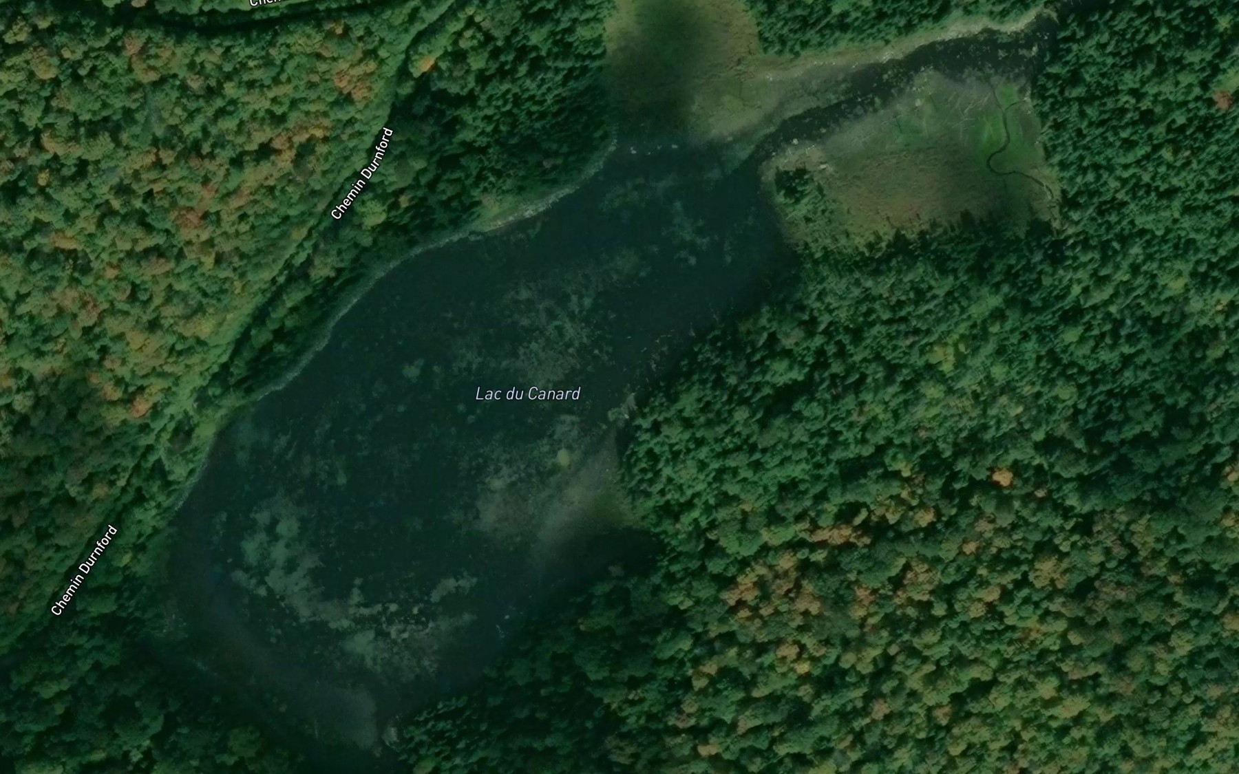 Satellite map of the Lac du Canard