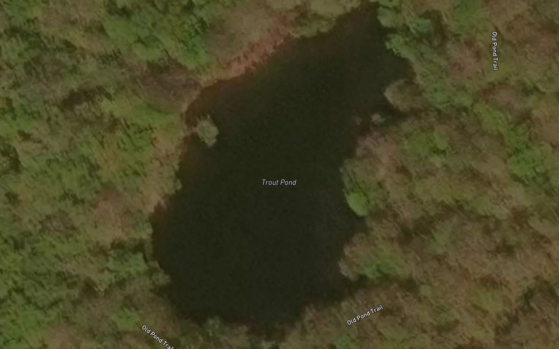 Satellite map of the Trout Pond