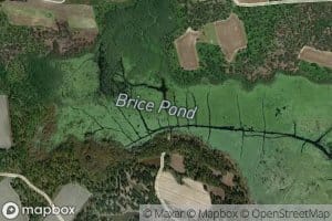 Brice Pond