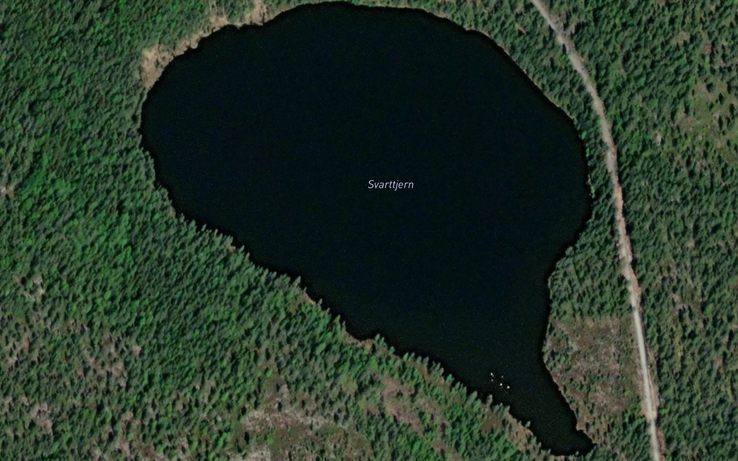 Svartevannet