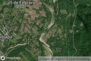 Venado