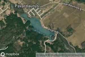 Pavardaunio Tvenkinys