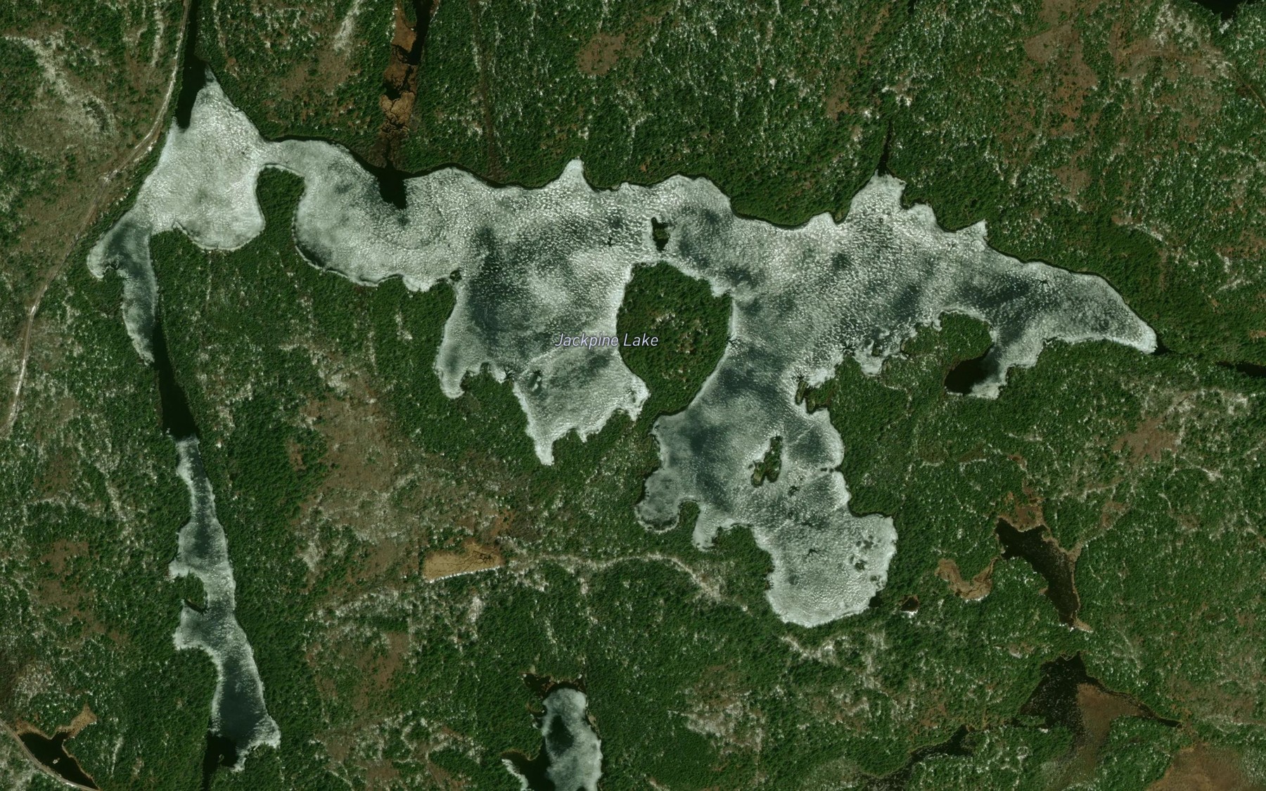 Satellite map of the Jackpine Lake