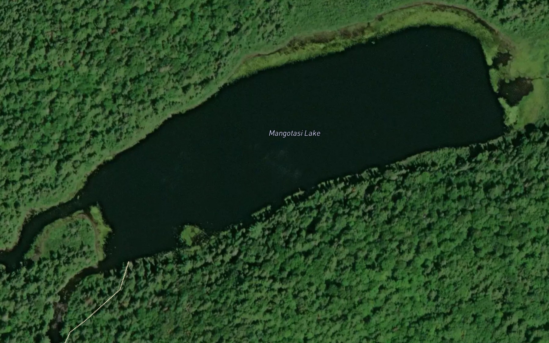 Satellite map of the Mangotasi Lake