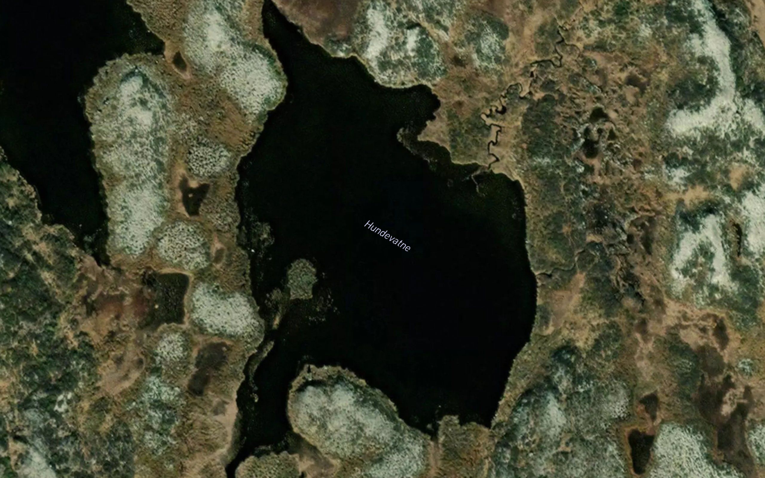 Hundevatni