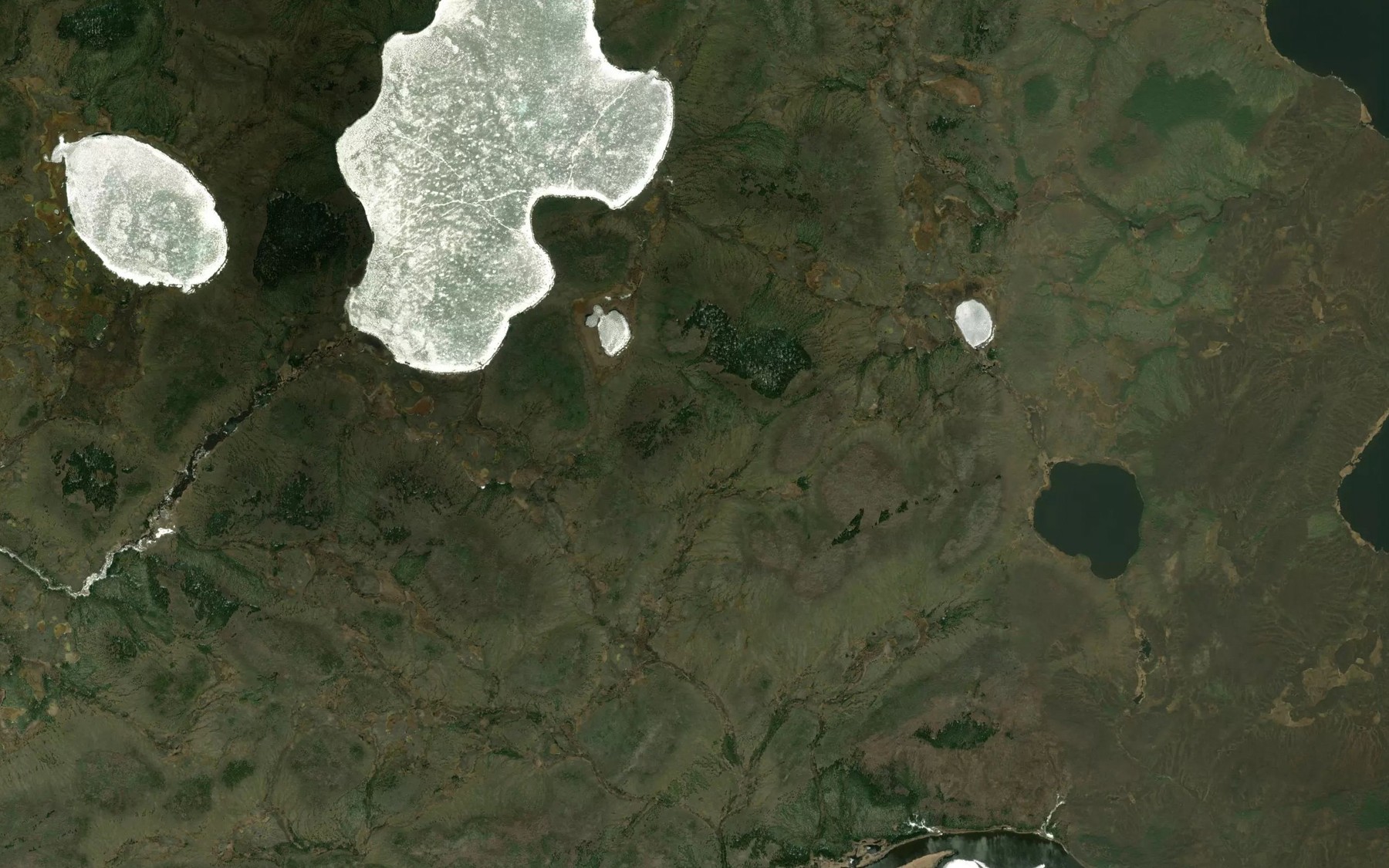 Satellite map of the Branch Lake