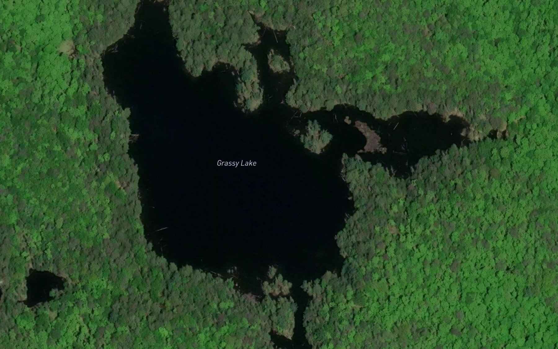 Satellite map of the Grassy Lake