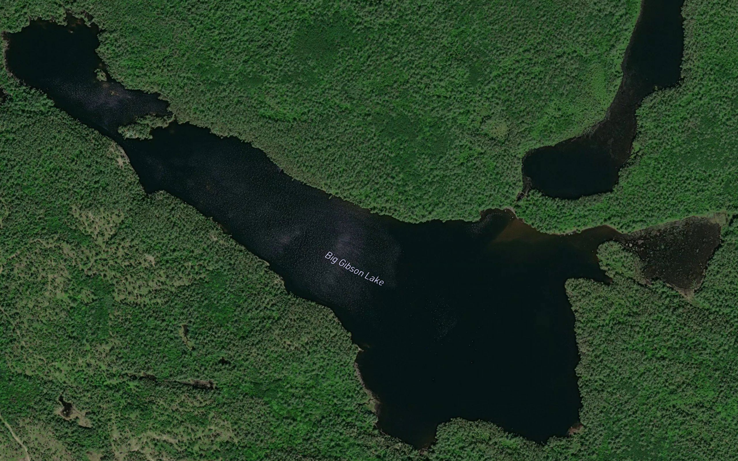Big Gibson Lake