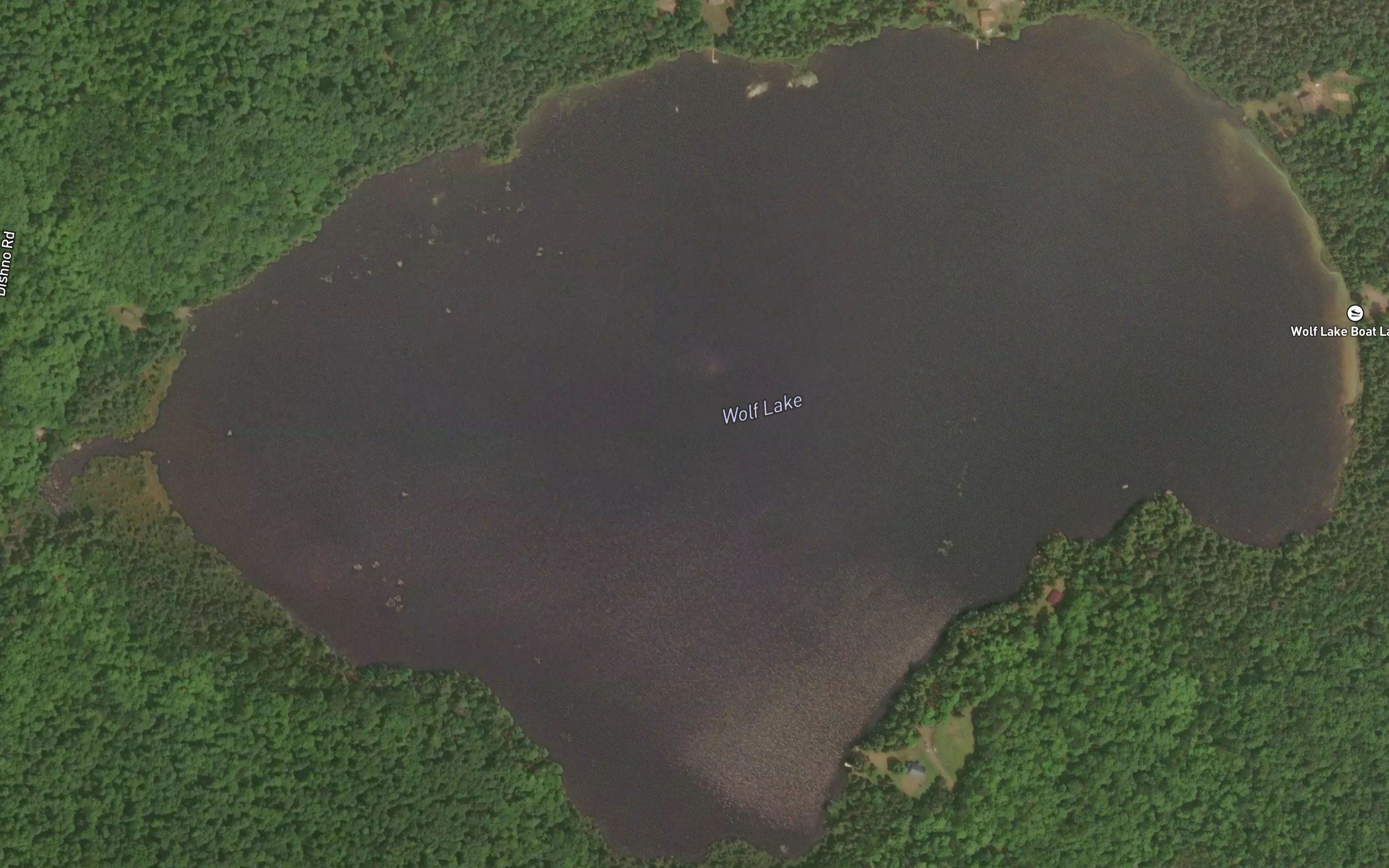 Wolf Lake