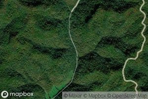 Cold Spring Branch