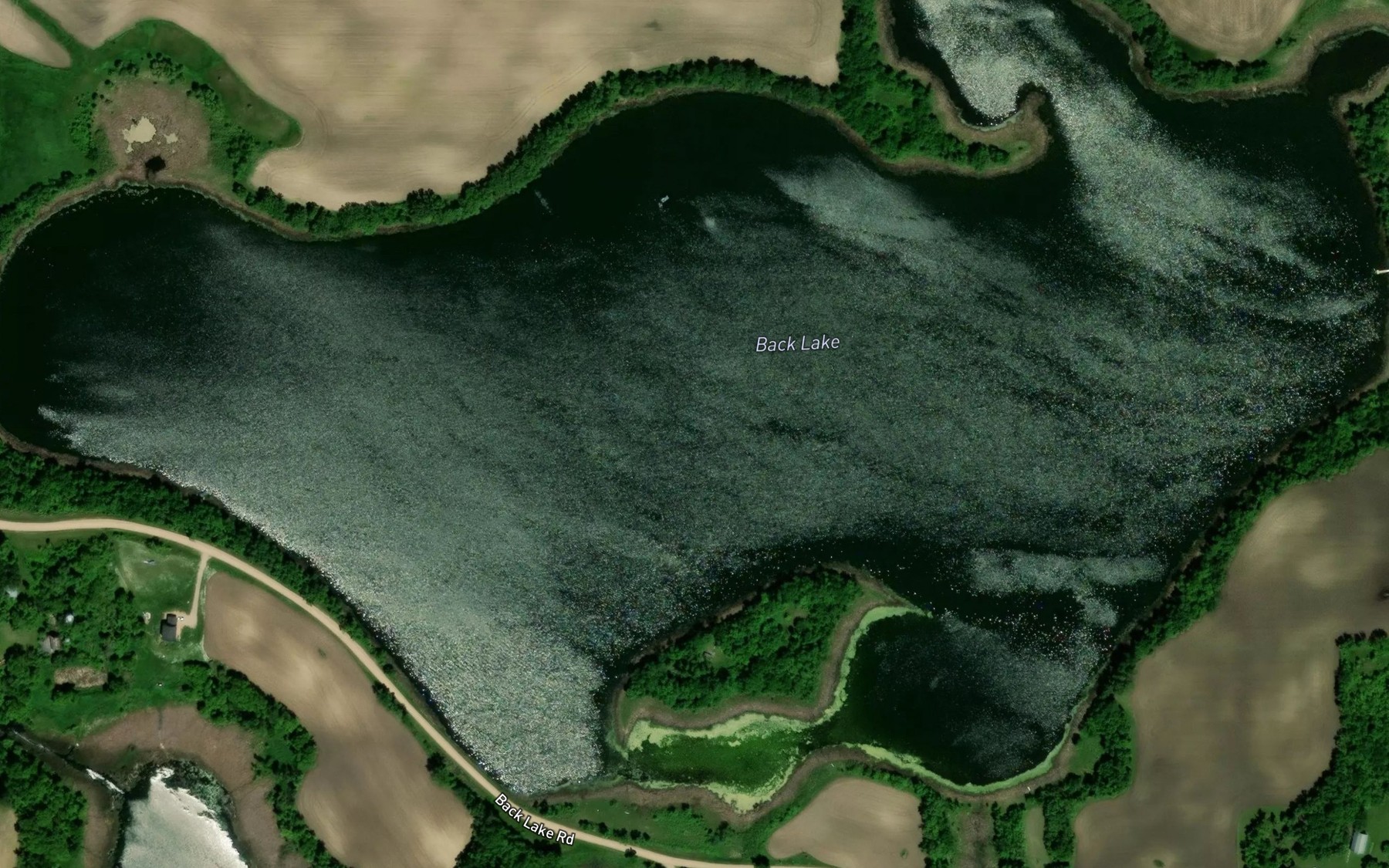 Satellite map of the Back Lake