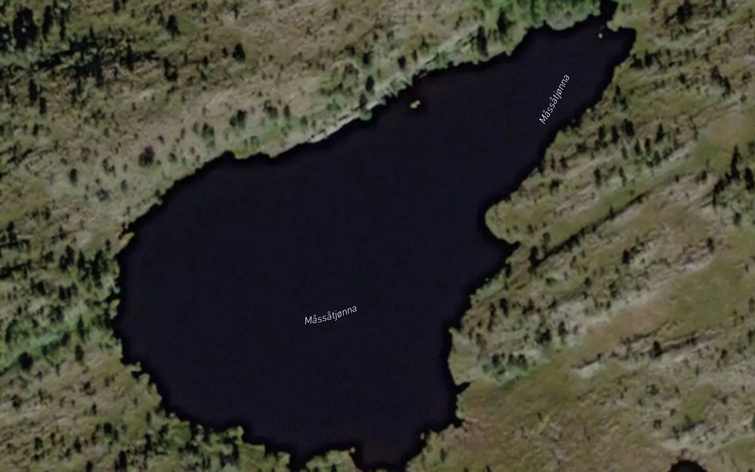 Massatjorna