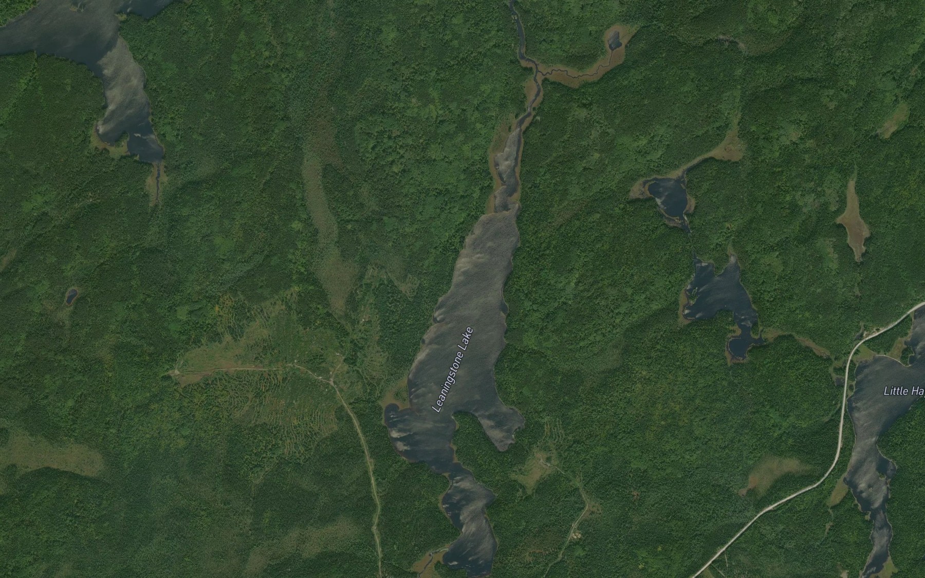 Satellite map of the Leaningstone Lake