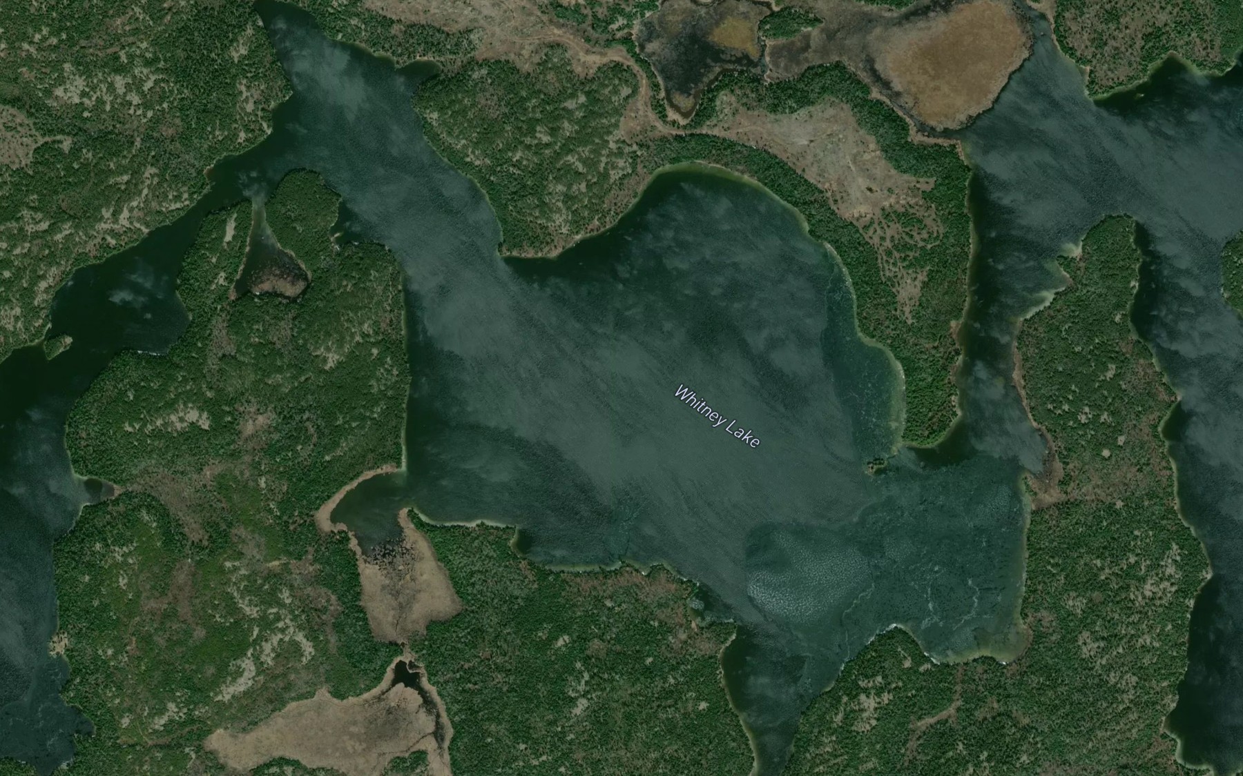 Satellite map of the Whitney Lake