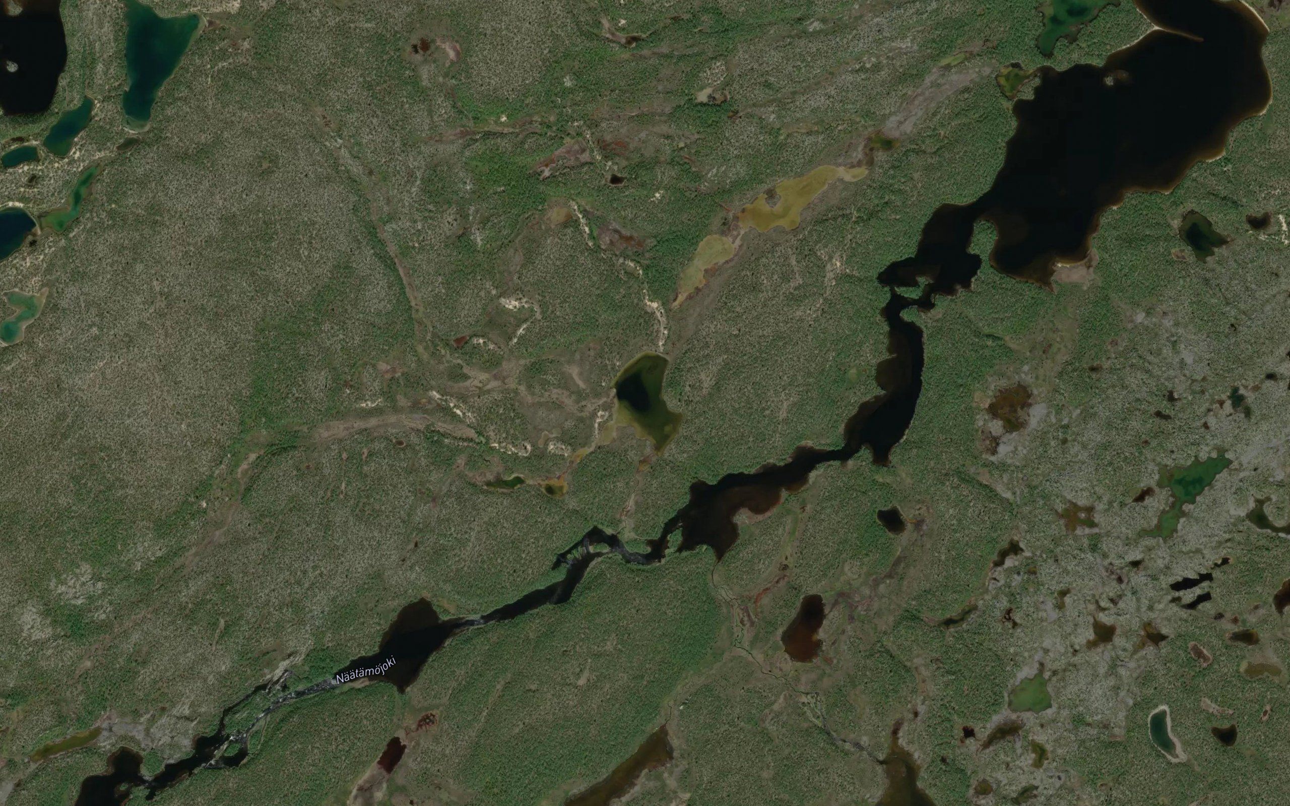 Siikalampi