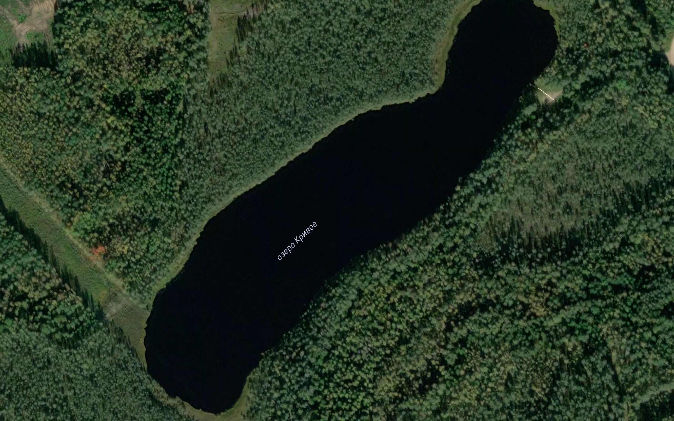 Ozero Krivoye
