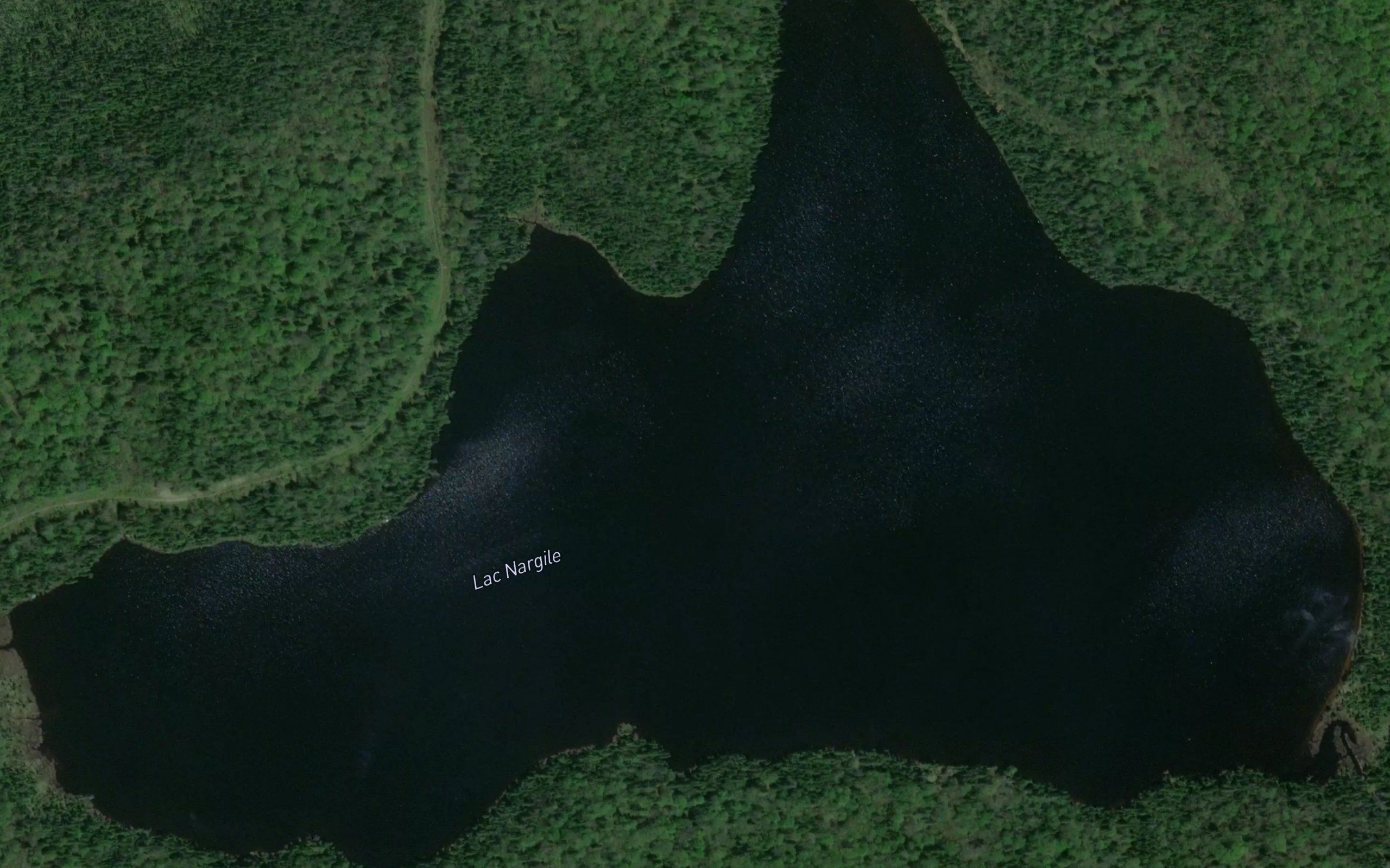 Lac Nargile