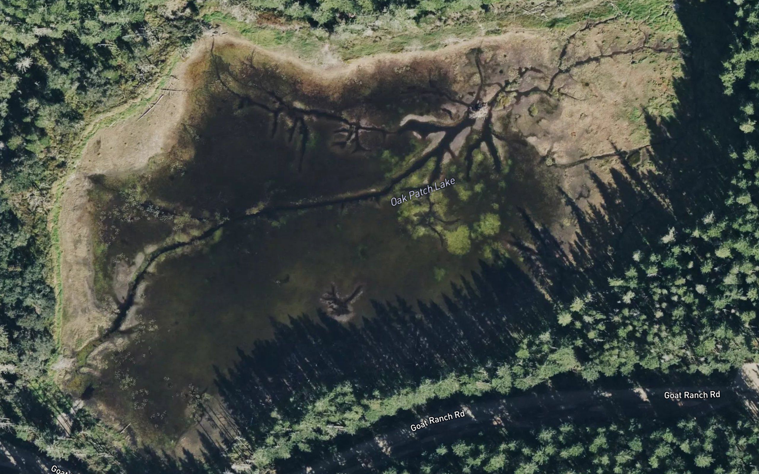 Oak Patch Lake