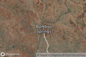 Bamboo Springs