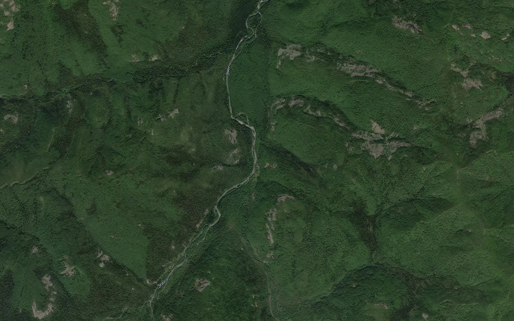 Satellite map of the Vetvistyy