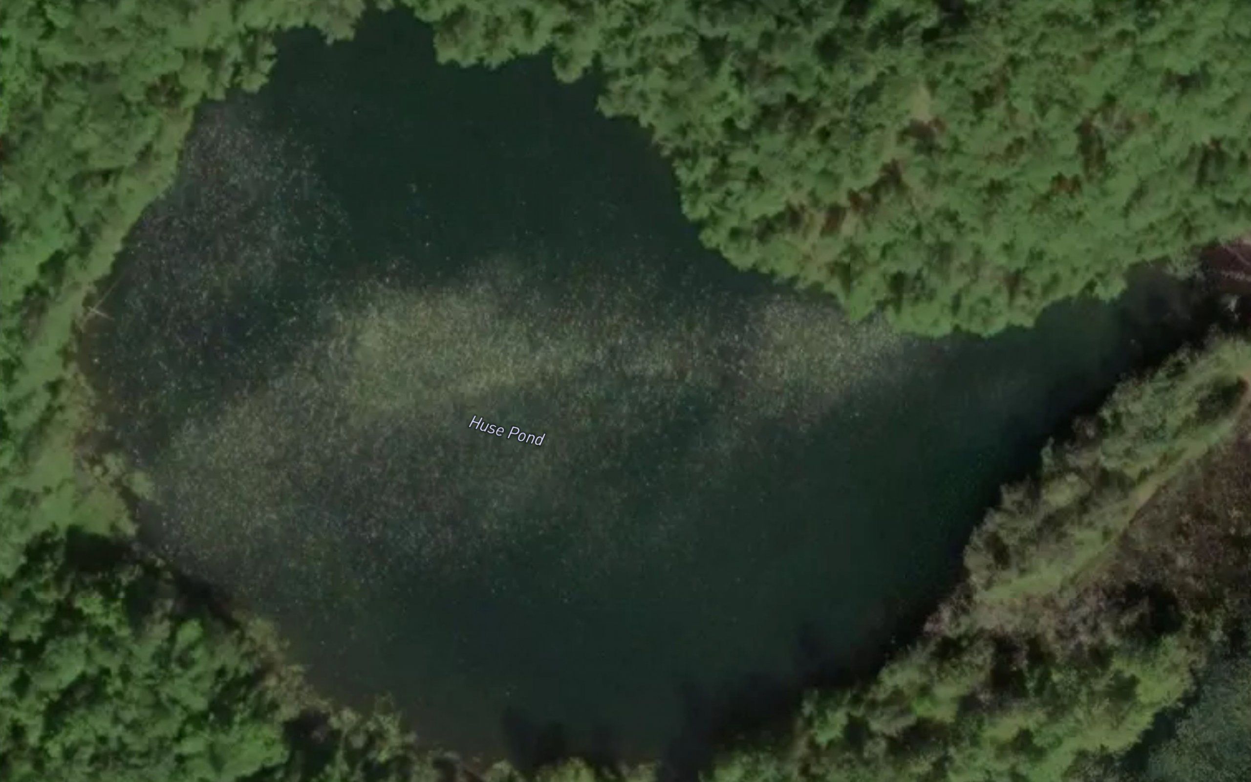 Huse Pond