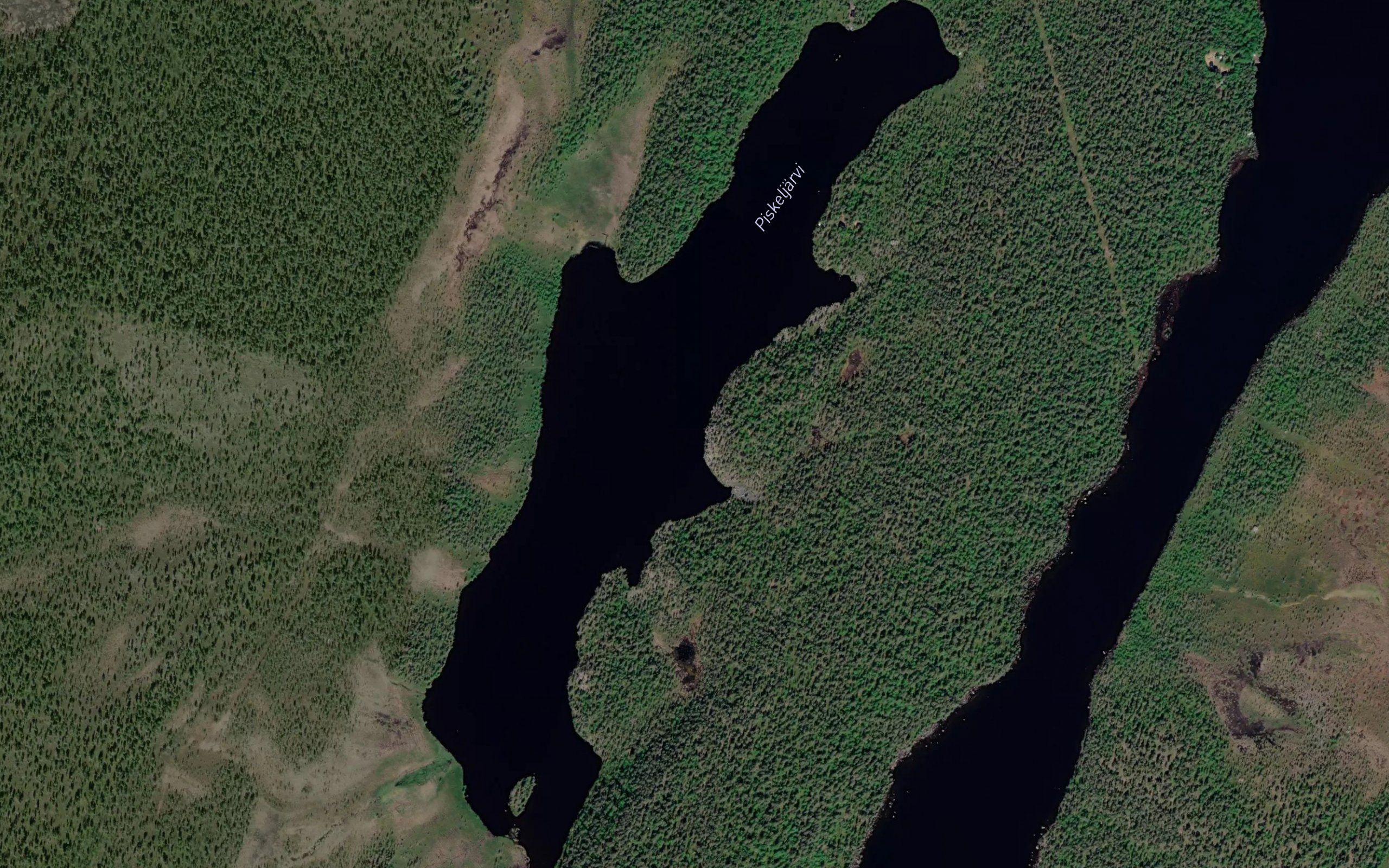 Piskeljarvi