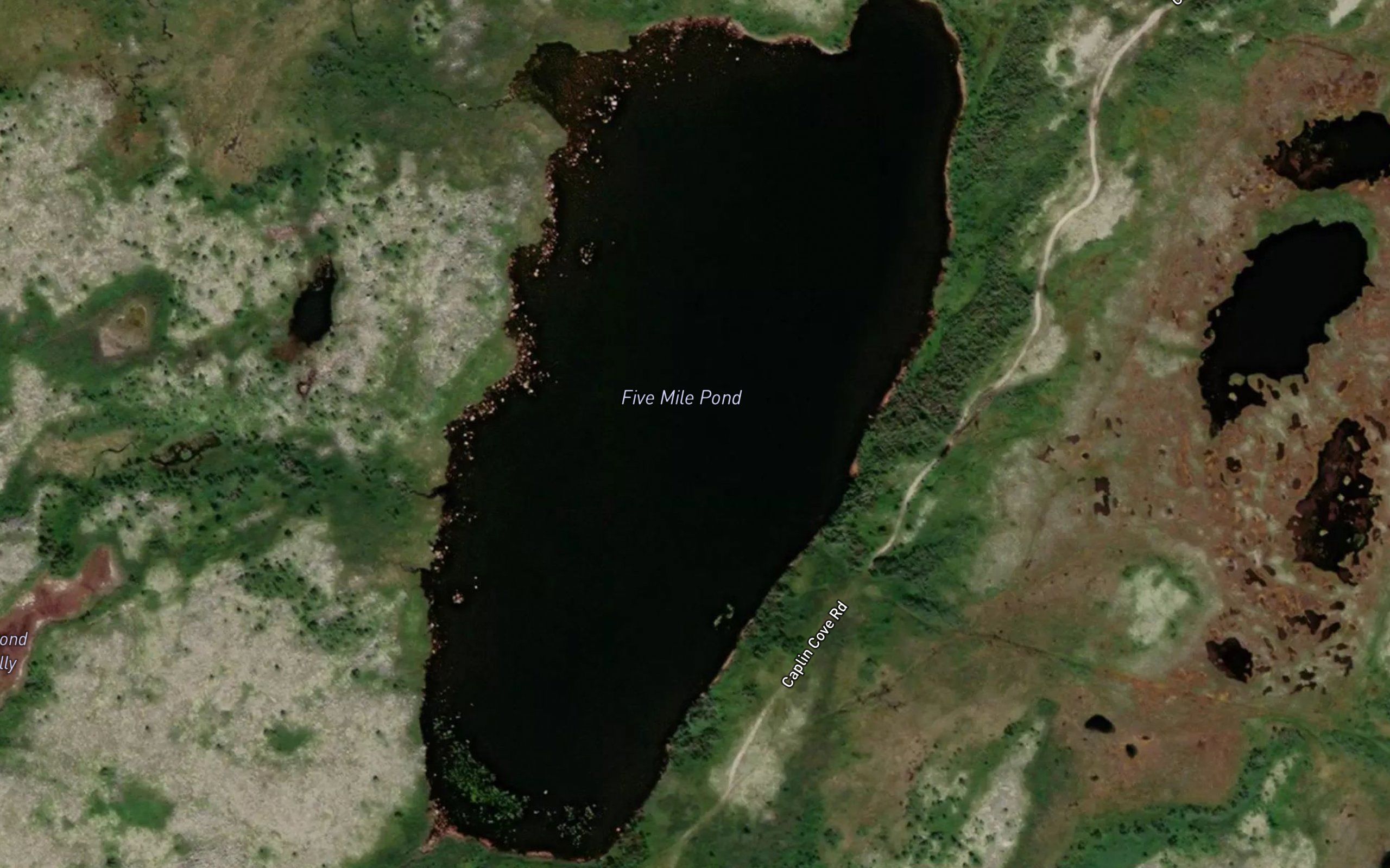 Five Mile Pond