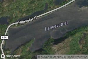 Langevatnet