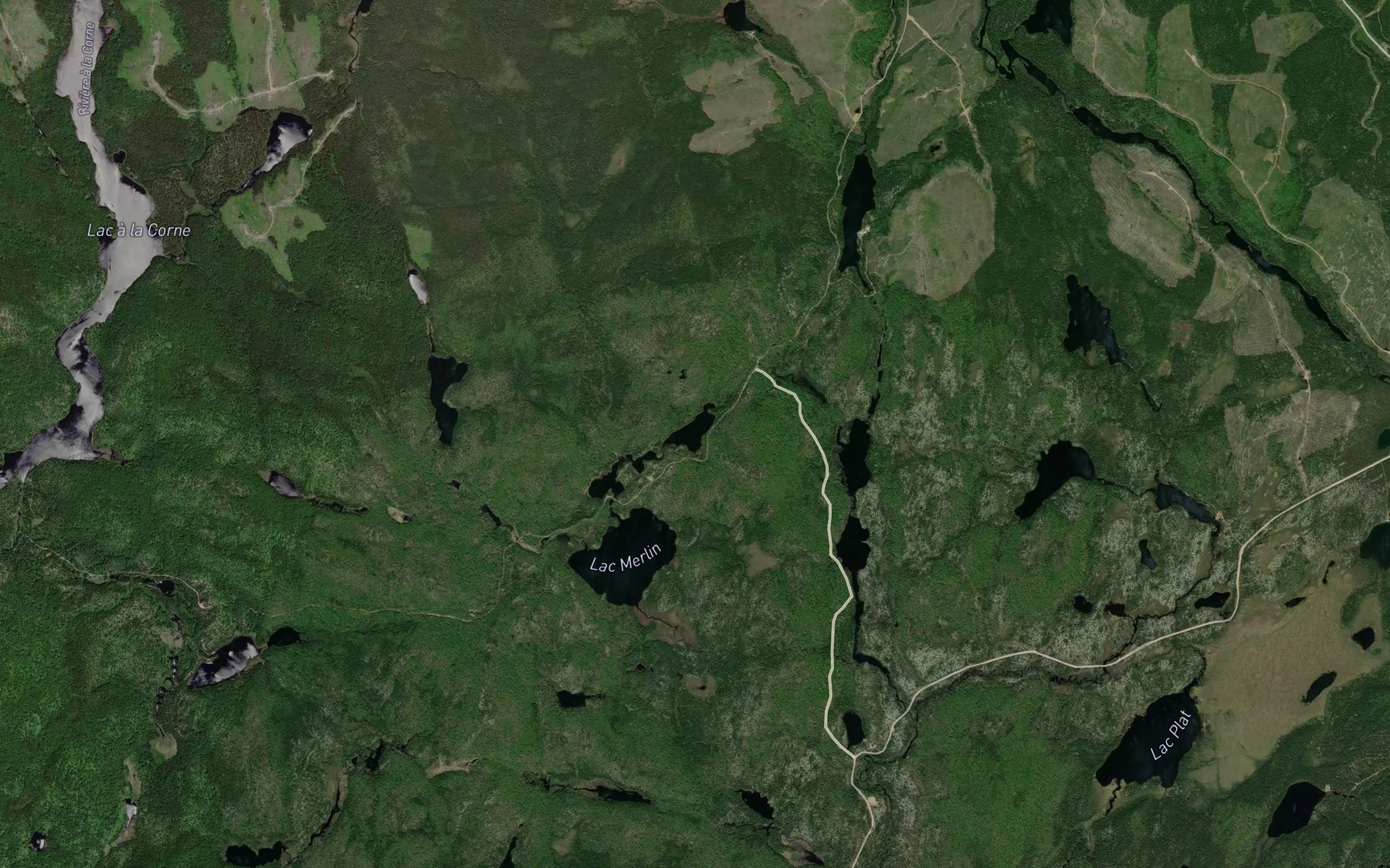 Satellite map of the Lac de l'Aile