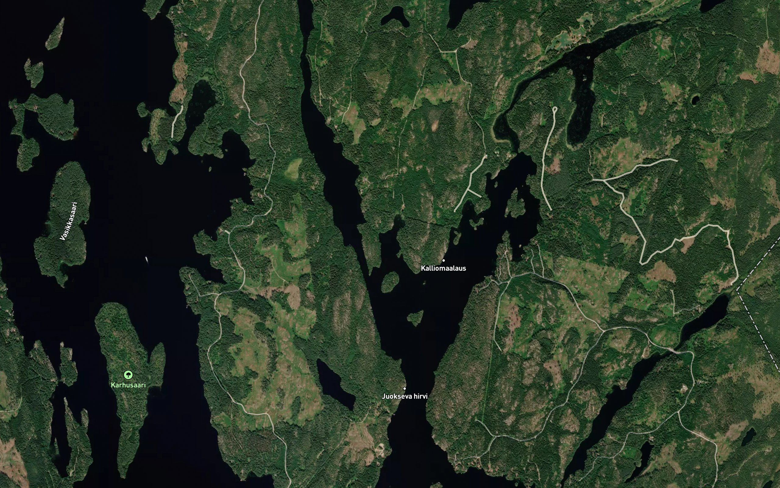 Papinlahti
