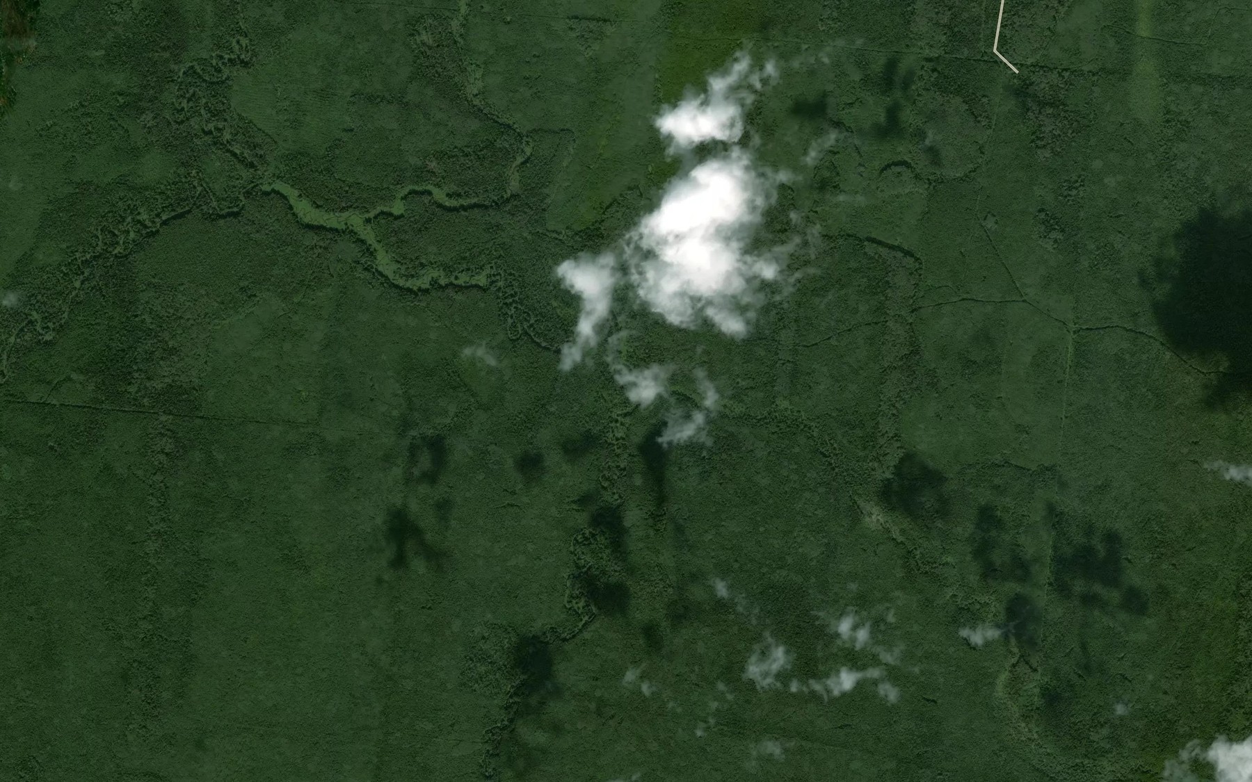 Satellite map of the Royushek