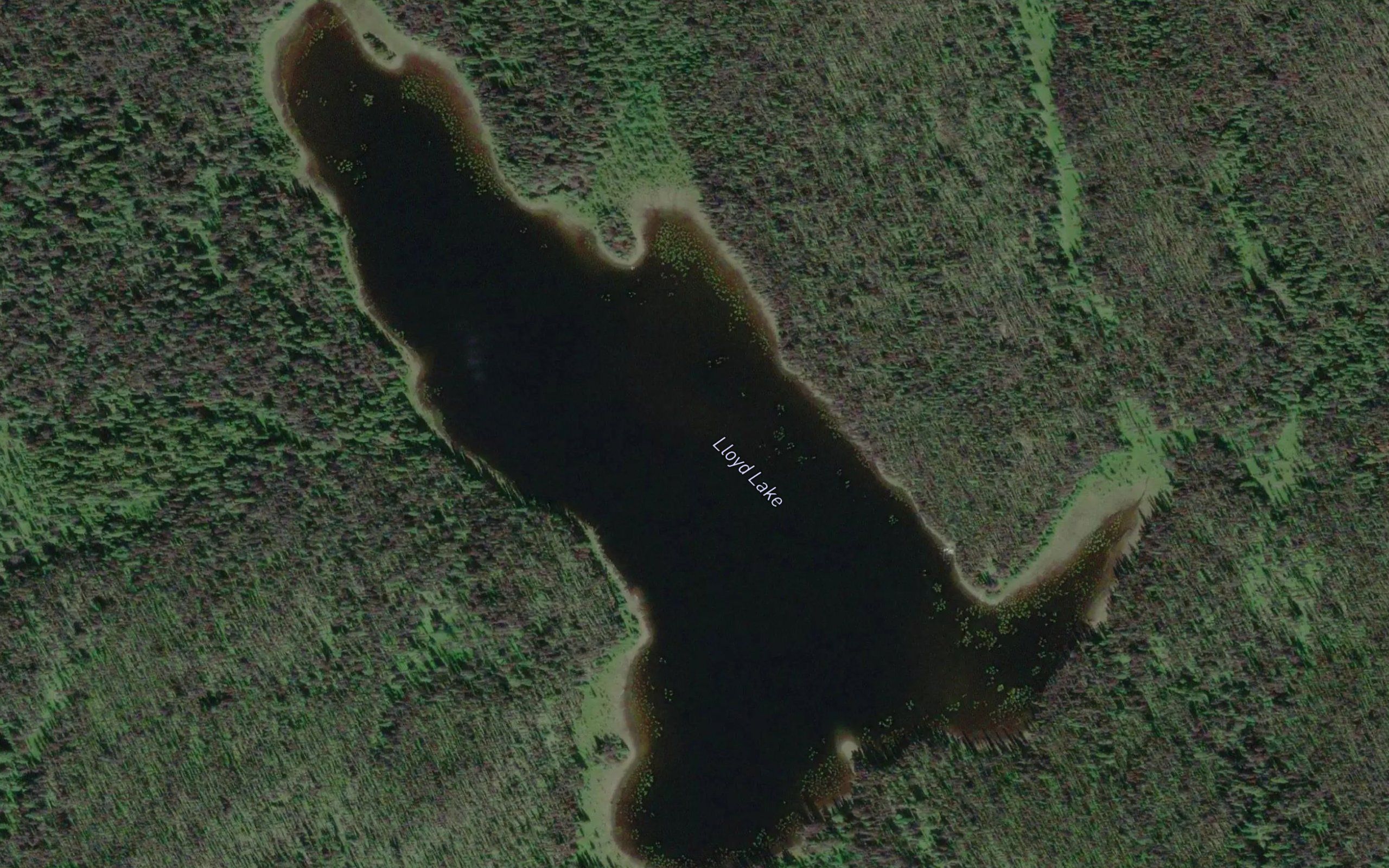 Lloyd Lake