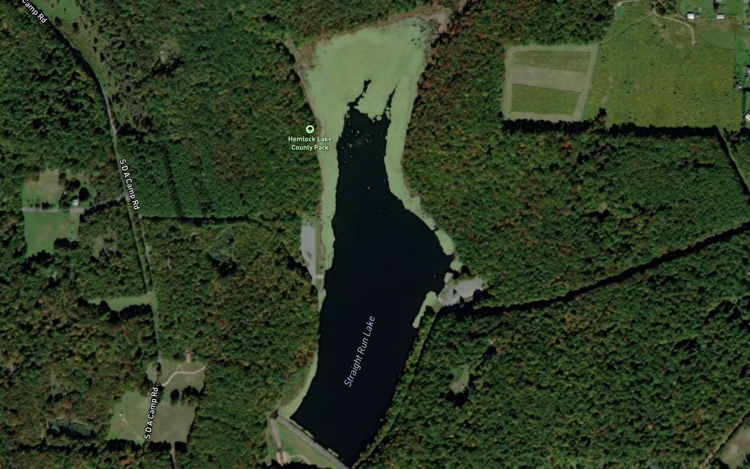 Straight Run Lake