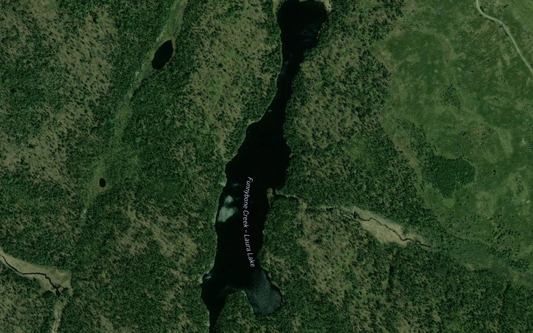 Satellite map of the Laura Lake