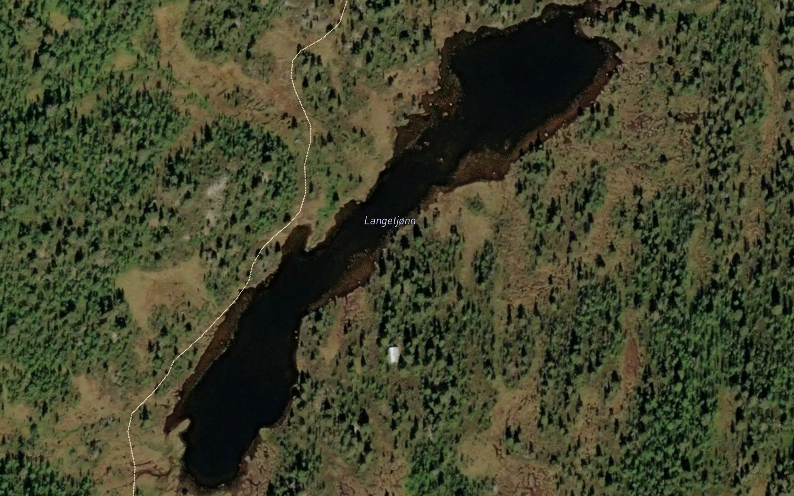 Langetjonn