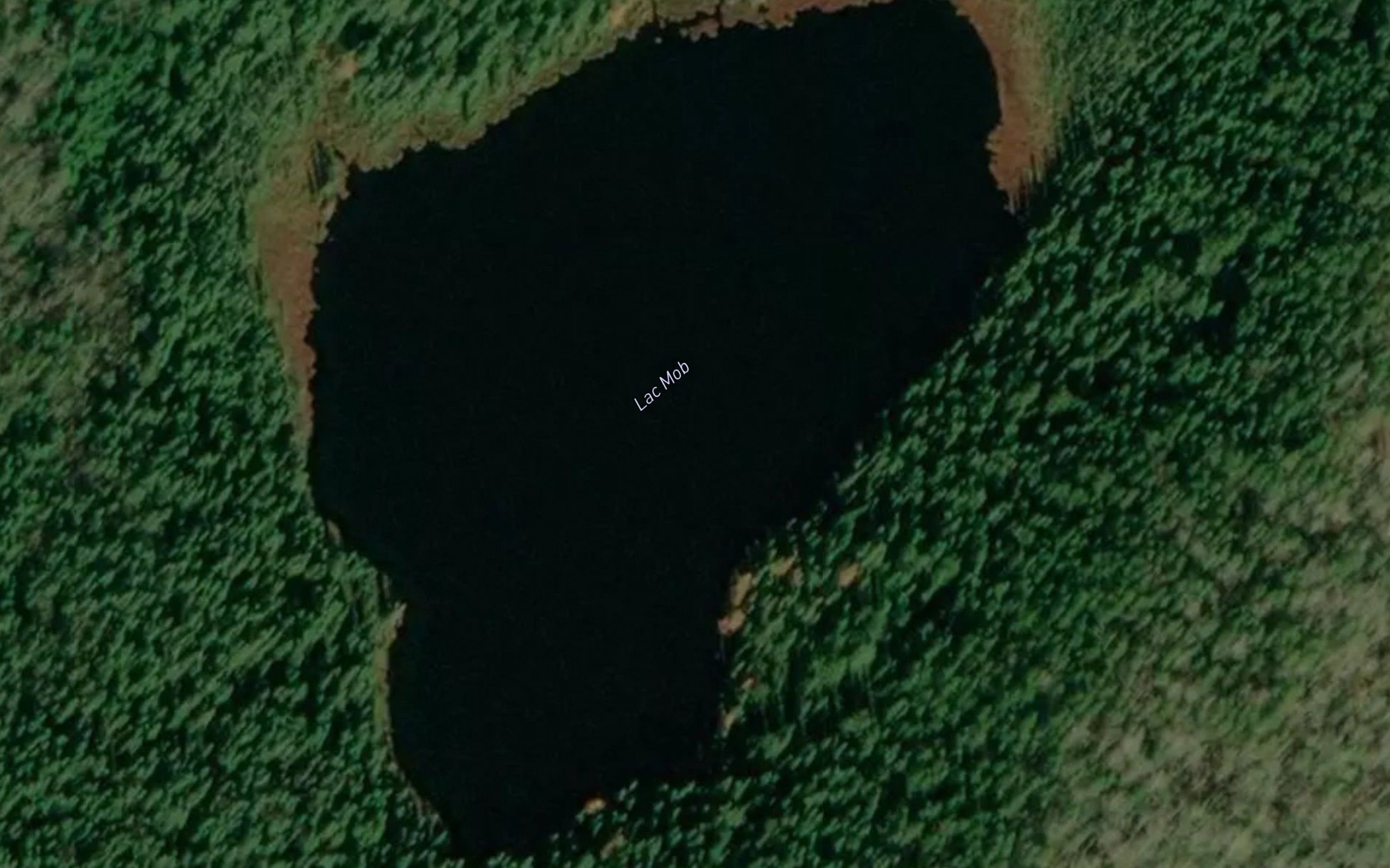 Lac Mob