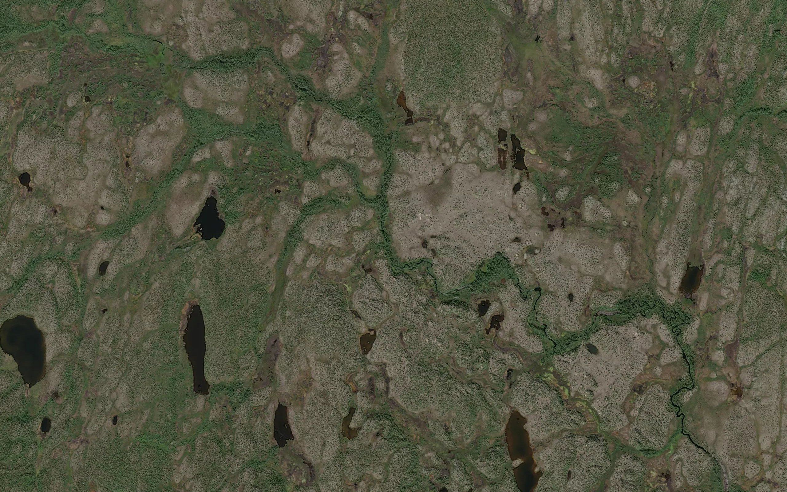 Magiijakka