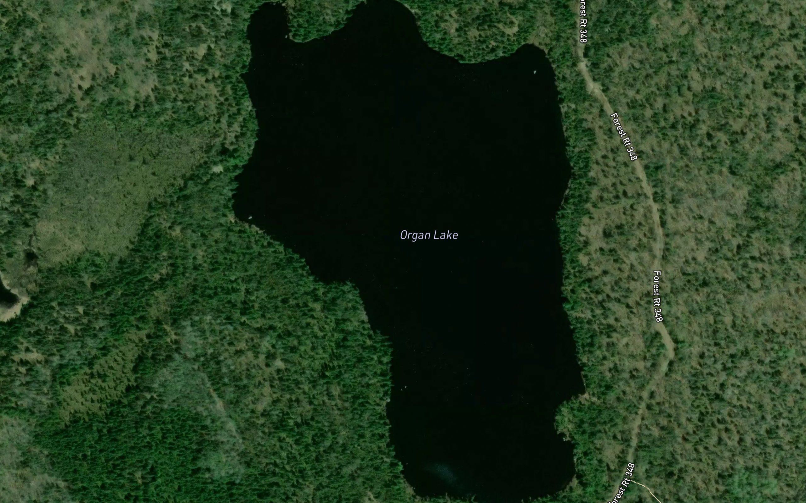 Organ Lake