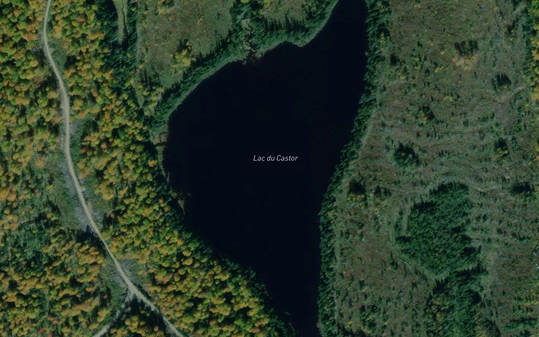 Satellite map of the Lac du Castor