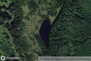 Grassy Pond