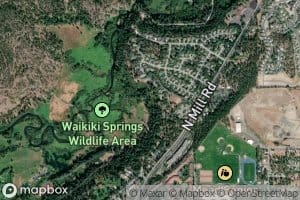 Waikiki Springs