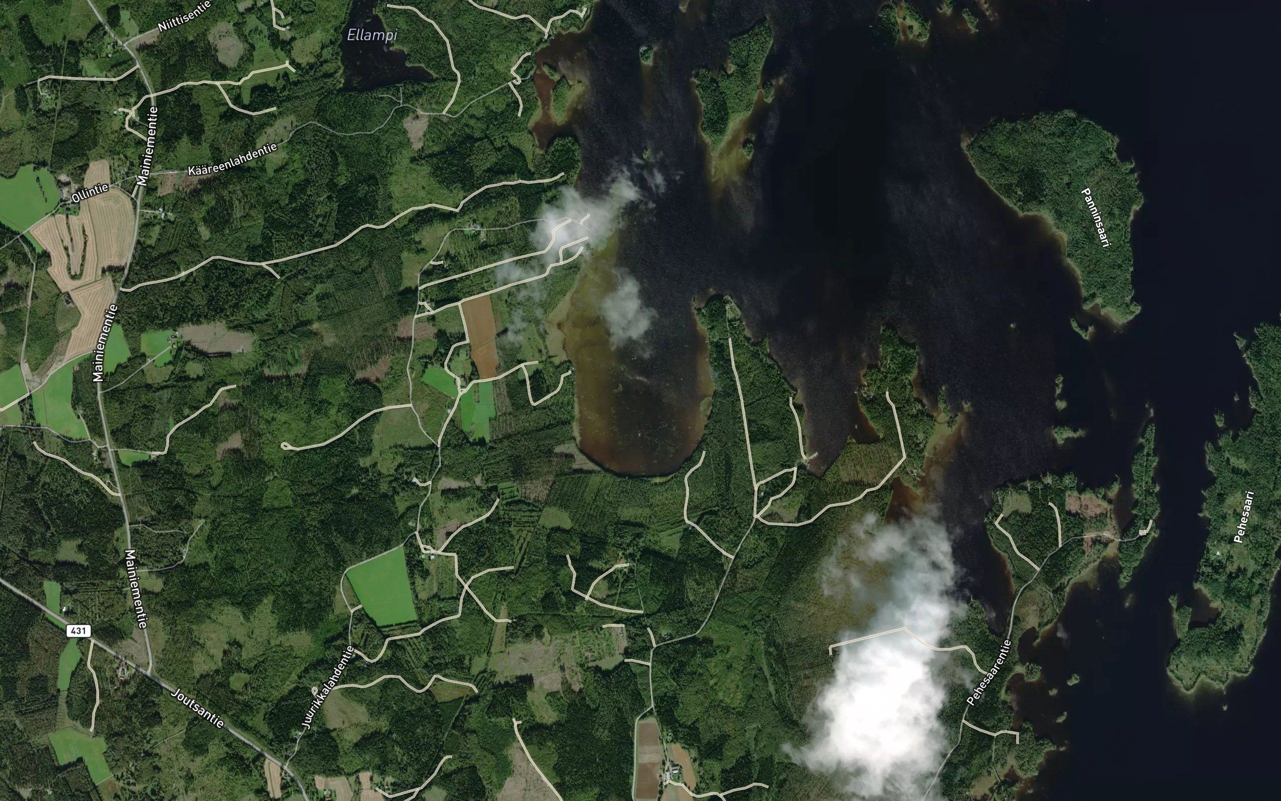 Juurikkalahti