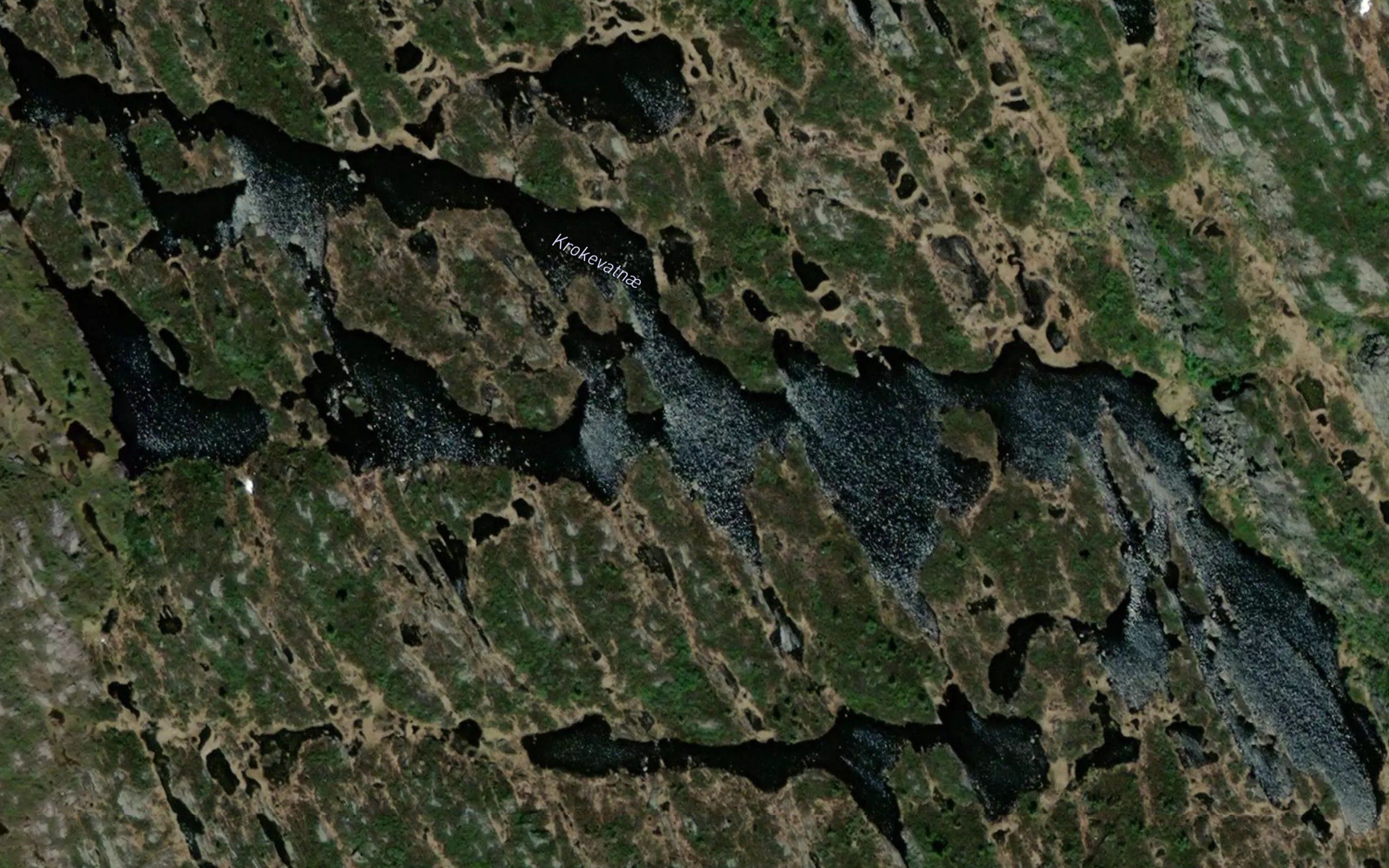 Krokevatnae
