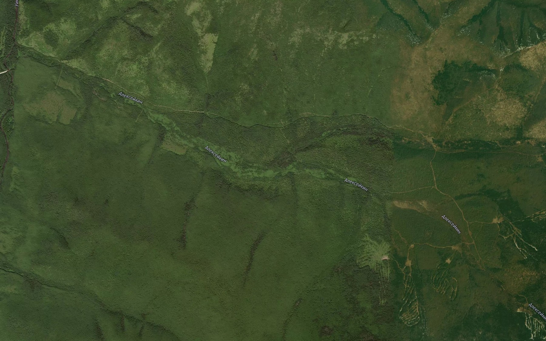 Satellite map of the Boryy